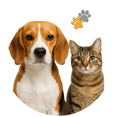 Tudo para  o cuidado do seu pet 🐕🐈‍⬛
